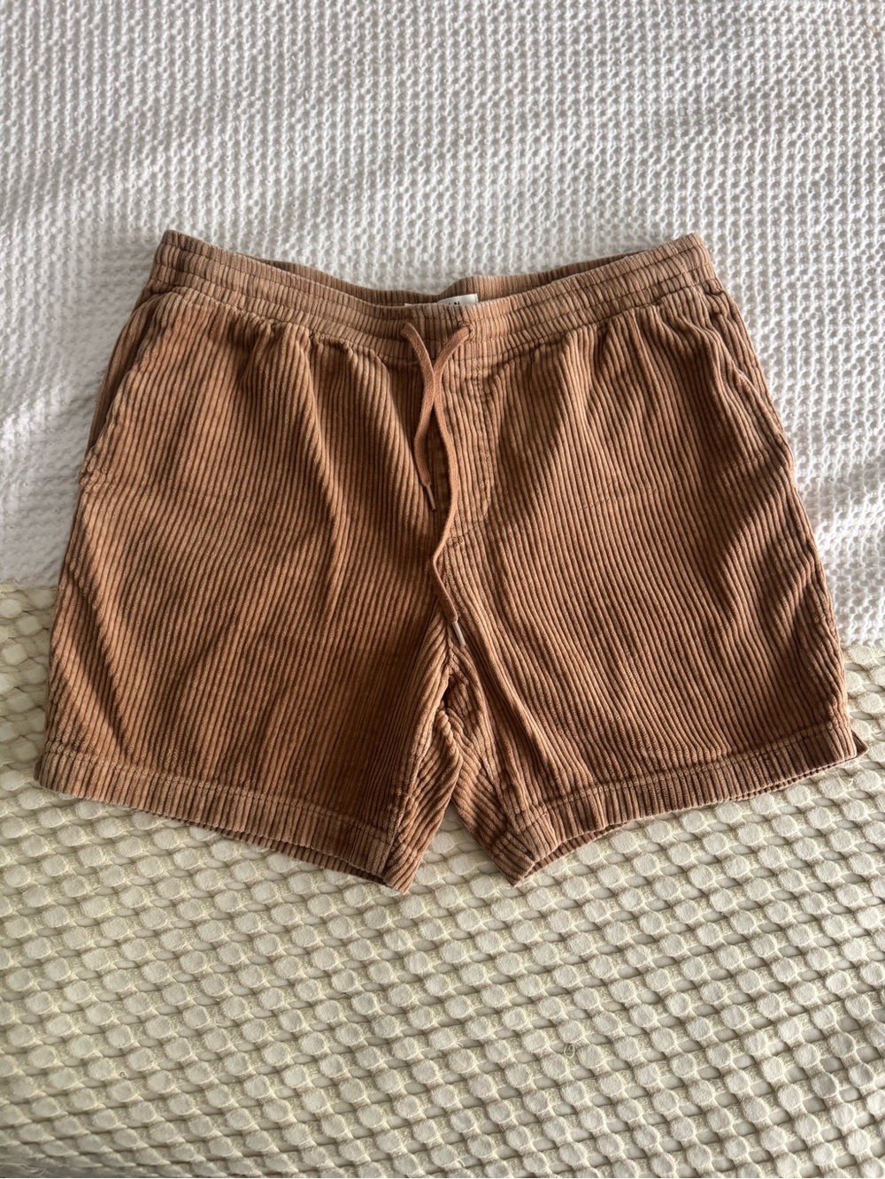 PacSun Volley Shorts